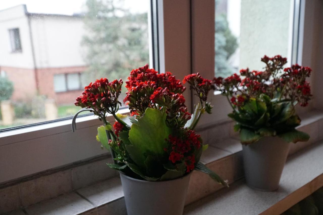 Apartment Paderewski